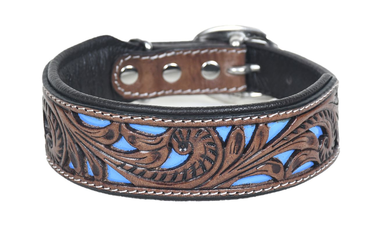Dog Collar