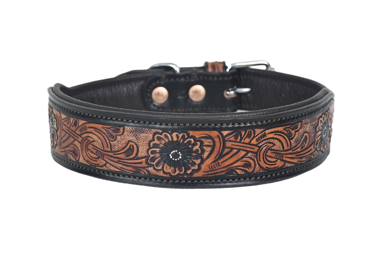 Dog Collar