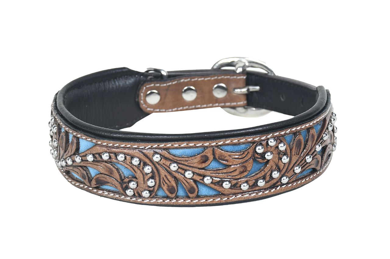 Dog Collar